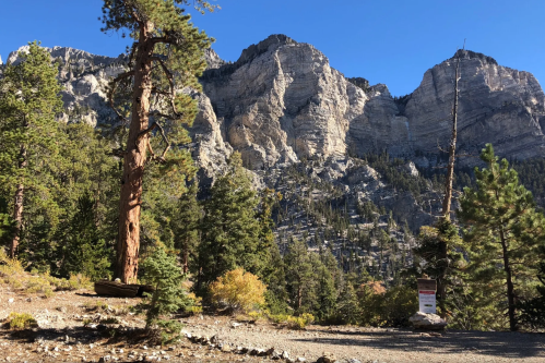 A scenic view of towering mountains and tall trees under a clear blue sky. A trail sign is visible in the foreground.