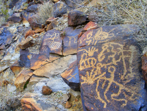 Petroglyphs carved into rocky surfaces, surrounded by sparse vegetation in a natural landscape.
