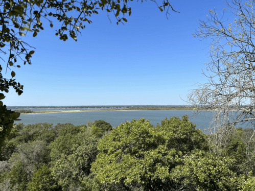 A scenic view of a river or lake surrounded by lush greenery and trees under a clear blue sky.