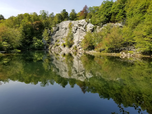 A serene lake surrounded by lush greenery and a rocky cliff, reflecting the landscape in calm waters.