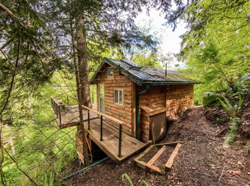 A small wooden cabin nestled in a lush green forest, featuring a deck and surrounded by trees.