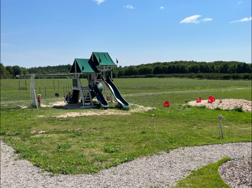 A playground with two slides, swings, and a sand area, set in a grassy field under a clear blue sky.