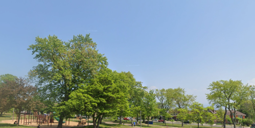 A sunny park scene with green trees, a playground, and a clear blue sky.