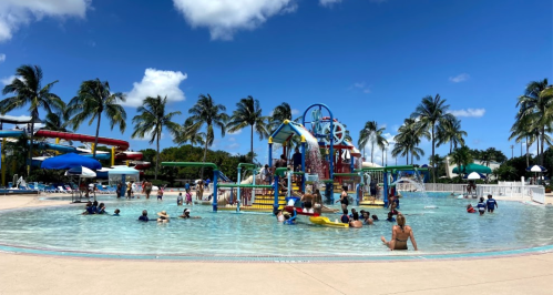 A vibrant water park scene with families enjoying a pool, slides, and palm trees under a clear blue sky.