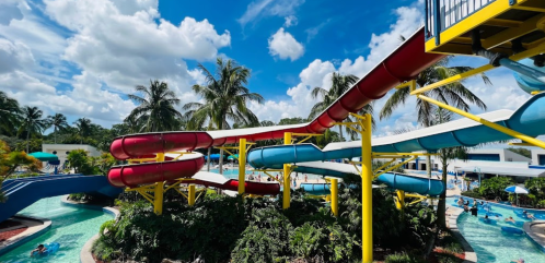 Colorful water slides twist through a tropical landscape with palm trees and a clear blue sky. People enjoy the pool below.