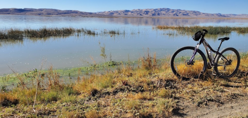 A mountain bike parked by a calm lake, surrounded by tall grass and distant mountains under a clear blue sky.