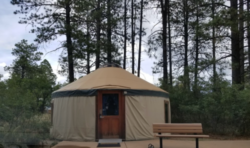 A tan yurt surrounded by tall pine trees, with a wooden bench in front and a cloudy sky above.