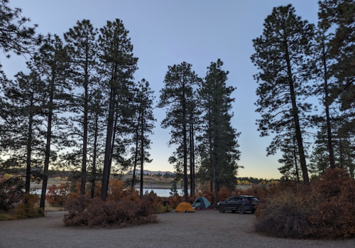 A campsite with two tents and a car, surrounded by tall pine trees and a view of a lake in the background.