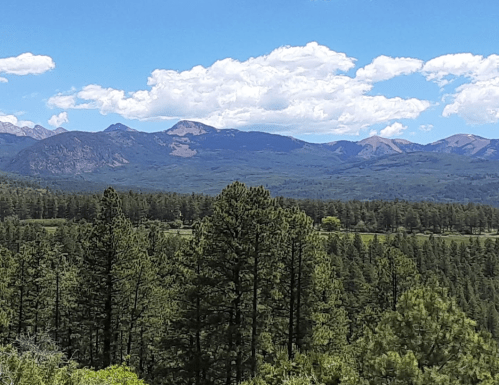 A scenic view of mountains in the background, surrounded by lush green trees and a bright blue sky with clouds.