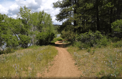 A dirt path winds through lush greenery and wildflowers, leading towards a serene lake under a cloudy sky.