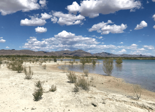 A serene landscape featuring a calm lake, sandy shore, sparse vegetation, and a blue sky with fluffy white clouds.