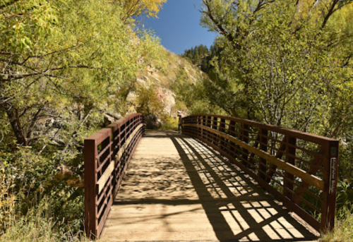A wooden bridge surrounded by greenery, leading into a scenic, sunlit landscape.