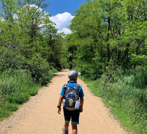 A child walks along a dirt path surrounded by lush greenery and trees on a sunny day.