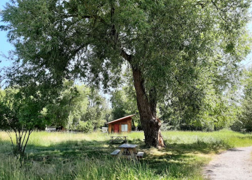 A large tree shades a picnic table in a grassy area, with a small cabin visible in the background.