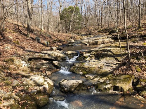 A serene stream flows over rocky terrain in a wooded area, surrounded by trees and fallen leaves.
