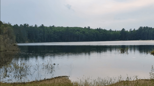 A serene lake surrounded by lush green trees under a cloudy sky, reflecting the landscape on its calm surface.