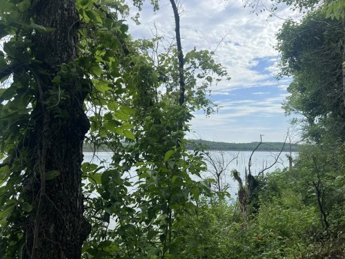 Lush greenery frames a serene lake under a partly cloudy sky, with trees and foliage lining the water's edge.