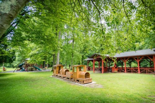 A playground with wooden train structures, surrounded by trees and a picnic shelter in a green park setting.