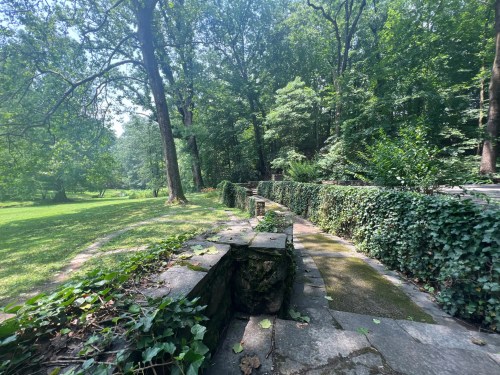A serene, green landscape featuring stone pathways and lush foliage in a wooded area.