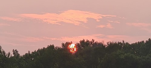 A sunset peeks through trees, casting a warm glow against a soft pink and orange sky.