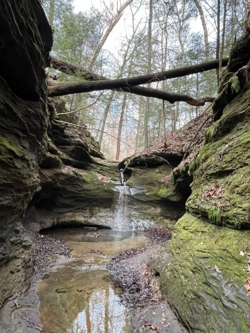 A serene forest scene featuring a small waterfall cascading over moss-covered rocks in a narrow canyon.