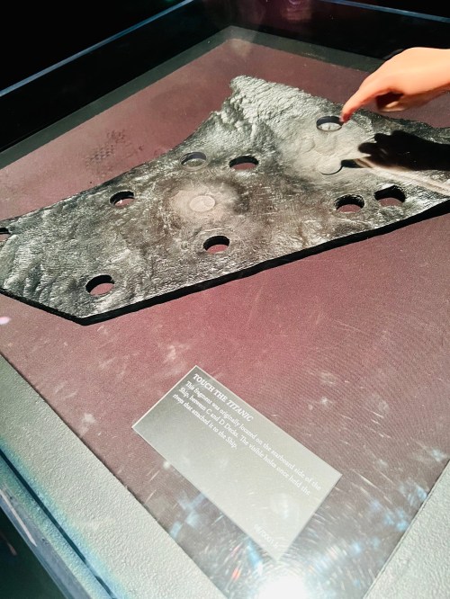 A hand points to a textured black artifact with holes, displayed in a glass case with an informational plaque.