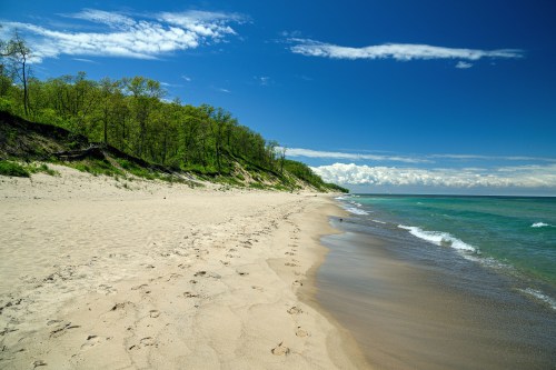 A serene beach with soft sand, gentle waves, and lush green trees under a clear blue sky.