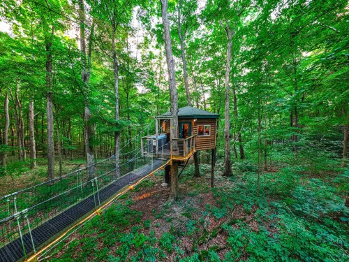 A treehouse nestled among lush green trees, connected by a walkway, surrounded by a serene forest.