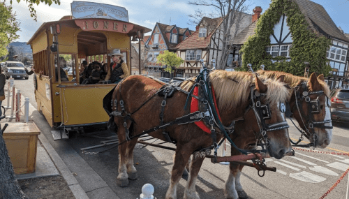 A horse-drawn carriage with two horses waits by the street, while passengers enjoy a ride in a quaint town setting.