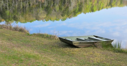 A small, green aluminum johnboat resting on a grassy shore next to a calm lake with vibrant tree reflections.