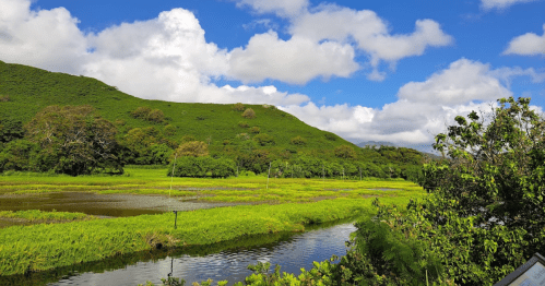 Lush green hills and trees surround a tranquil river under a bright blue sky with fluffy white clouds.