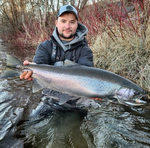 A person in a hat holds a large fish while standing in a stream, surrounded by trees and bushes.