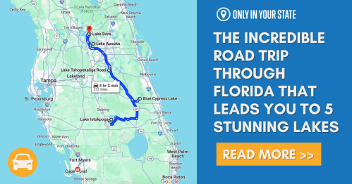 Map highlighting a road trip route in Florida, showcasing five stunning lakes to visit.