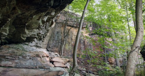 Lush green trees surround a rocky cliff face, with sunlight filtering through the foliage in a serene natural setting.