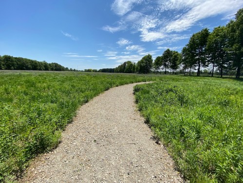 A winding gravel path through a lush green field under a bright blue sky with scattered clouds.