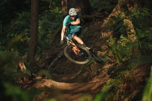 A mountain biker performs a jump on a dirt trail surrounded by lush greenery and trees.