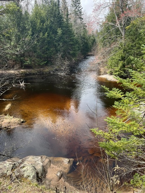 A serene river flows through a forest, surrounded by trees and rocky banks, reflecting the calm sky above.