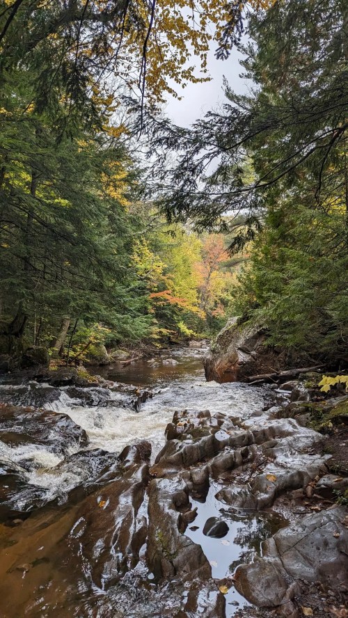 A serene river flows through a forest, surrounded by trees with autumn foliage and rocky banks.