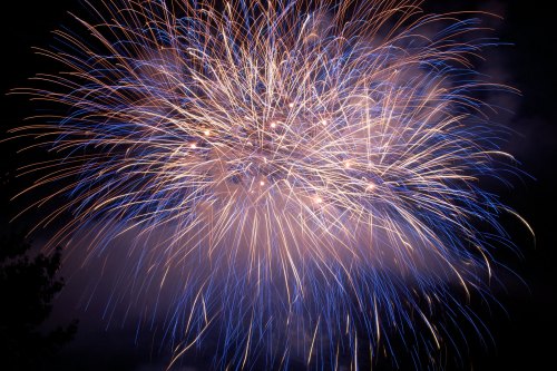 A vibrant display of fireworks bursting in the night sky, with blue and gold sparks illuminating the darkness.