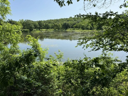A serene lake surrounded by lush greenery and trees under a clear blue sky.