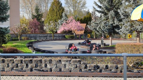 Go-kart track with two karts on the course, surrounded by trees and blooming flowers on a sunny day.