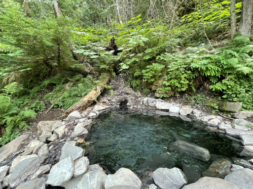 A natural hot spring surrounded by lush greenery and rocks, nestled in a forested area.