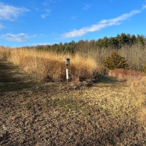 A serene landscape featuring tall grass and trees under a clear blue sky, with a birdhouse in the foreground.