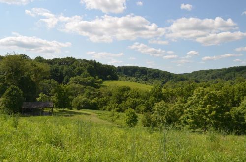 Lush green hills under a blue sky with fluffy clouds, featuring a small shed in the foreground.
