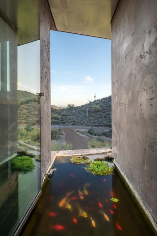 A modern doorway opens to a serene landscape with a pond filled with colorful fish and lush greenery.