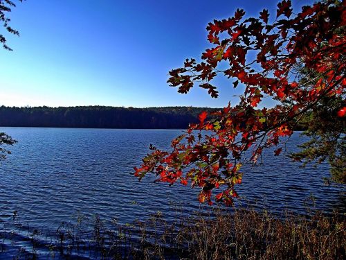 A serene lake scene with vibrant autumn leaves in the foreground and a clear blue sky above.