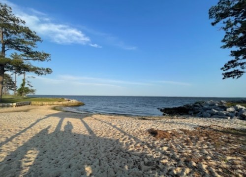 A sandy beach with shadows stretching towards the calm water, surrounded by trees under a clear blue sky.
