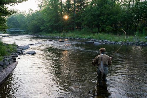 A person fly fishing in a serene river at sunrise, surrounded by lush greenery and smooth stones.