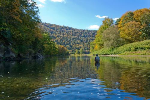 A serene river scene with a person fishing, surrounded by colorful autumn trees and a mountainous backdrop.