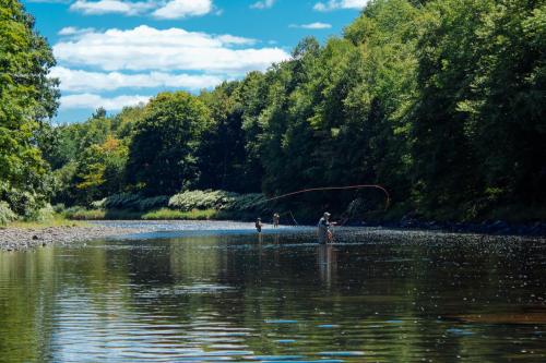 Two people fly fishing in a calm river surrounded by lush green trees and a blue sky with scattered clouds.